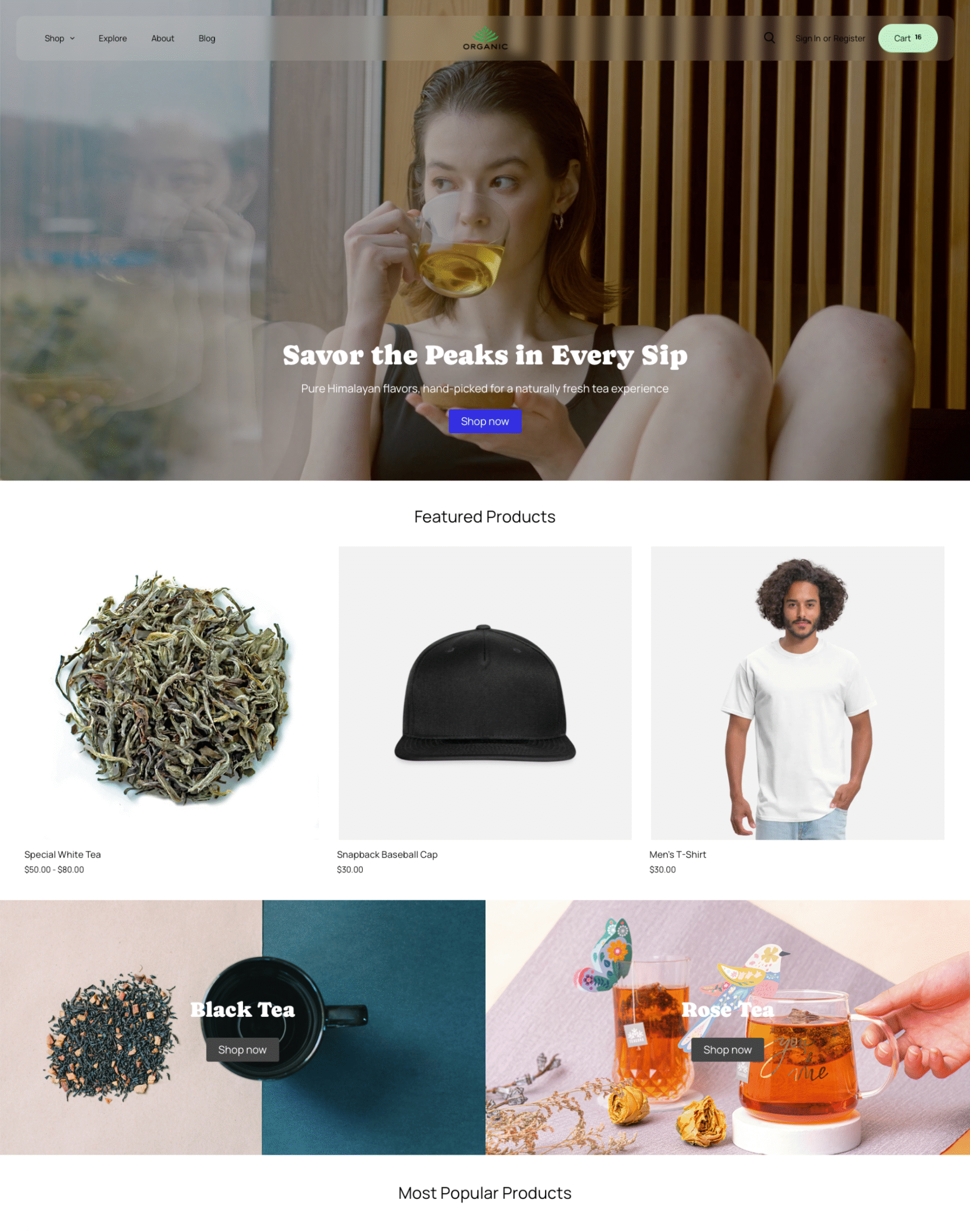 Everest bigcommerce theme