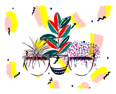 Fancy plants three buddies